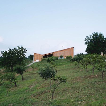 Szegzard - The Lodge Szekszárd Εξωτερικό φωτογραφία