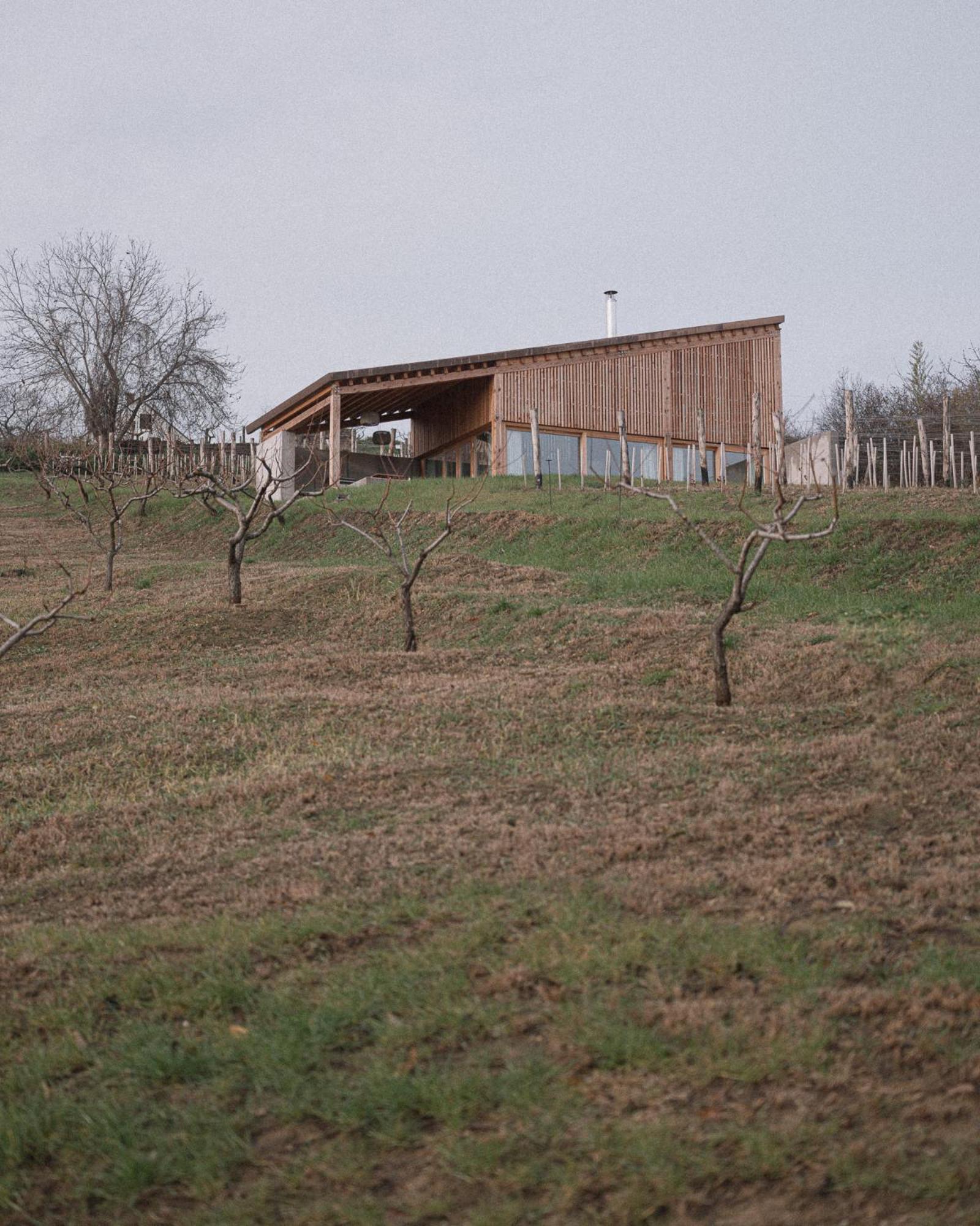Szegzard - The Lodge Szekszárd Εξωτερικό φωτογραφία